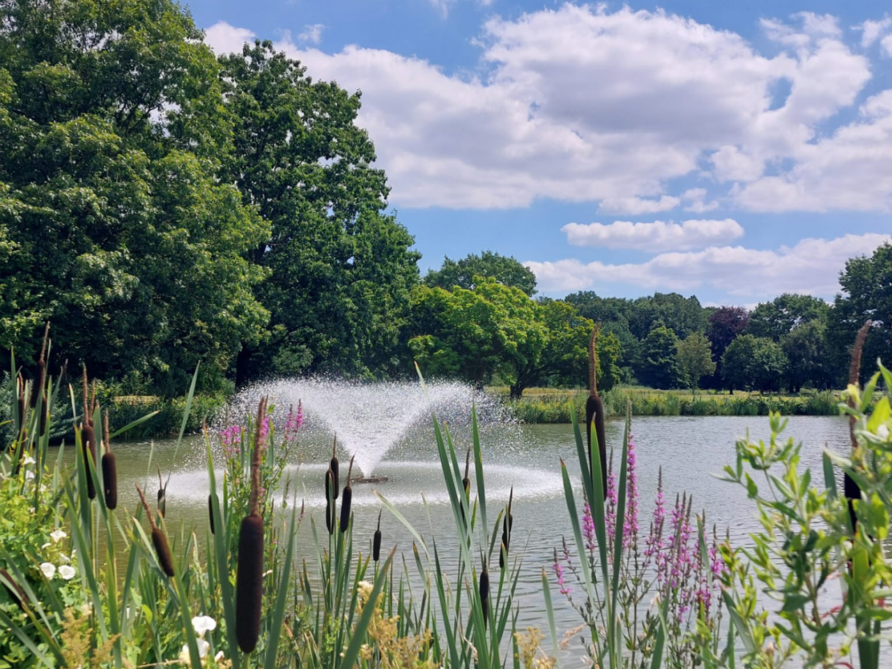 Golfclub Schmallenberg Damen AK50 Leverkusen 5 Golfclub Schmallenberg Damen AK50 Leverkusen 5